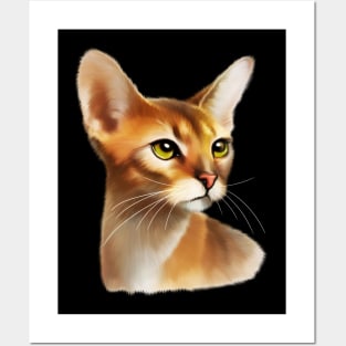 Abyssinian cat, Cat Lover Posters and Art